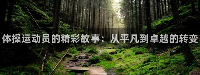 MK体育官方集团官网：体操运动员的精彩故事：从平凡到