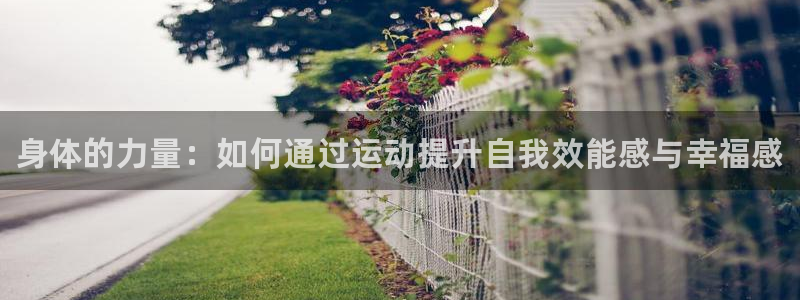 MK体育官网下载招商电话号码是多少啊：身体的力量：如