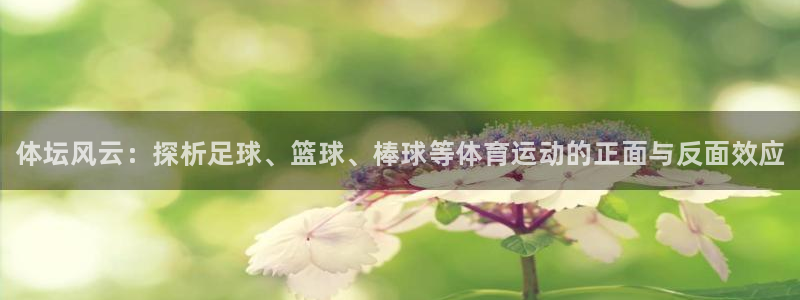 MK体育官方正版app集团E.ON
