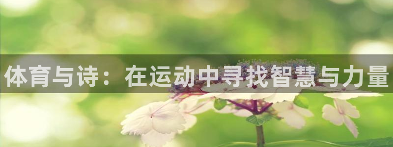 MK体育官方正版app官网：体育与诗：在运动中寻找智