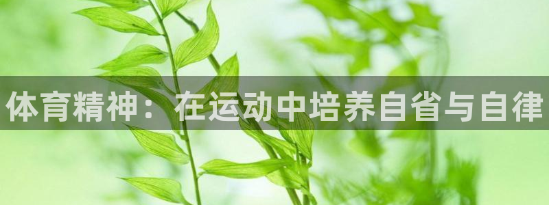 MK体育官网下载官方客服电话：体育精神：在运动中培养