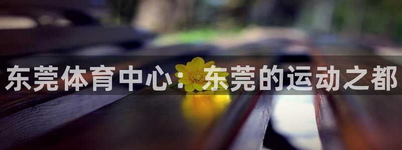 MK体育官网下载平台注册流程图：东莞体育中心：东莞的运动之都