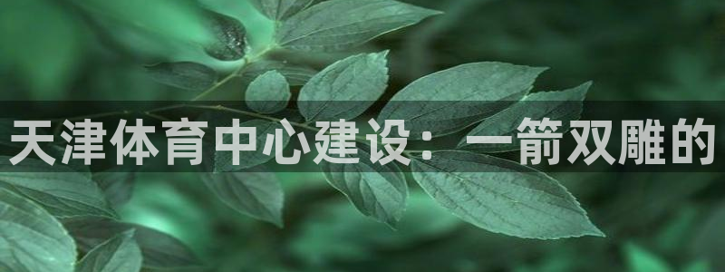 MK体育官网下载平台：天津体育中心建设：一箭双雕的