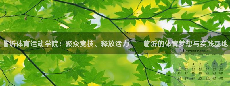MK体育官方正版app娱乐下载：临沂体育运动学院：聚众竞技、