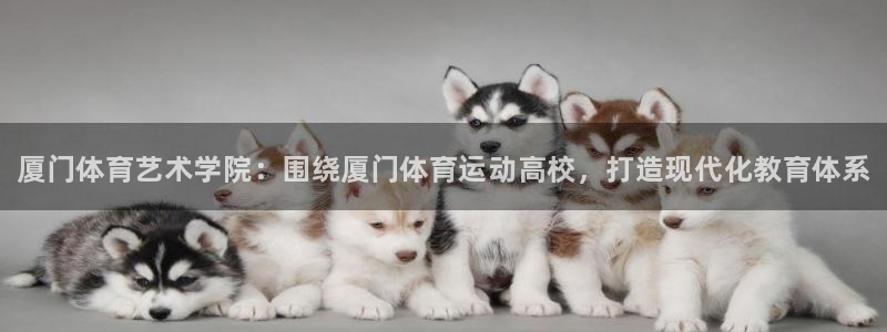 MK体育官方正版app集团E.ON：厦门体育艺术学院