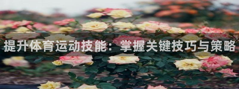 注册MK体育官方正版app：提升体育运动技能：掌握关