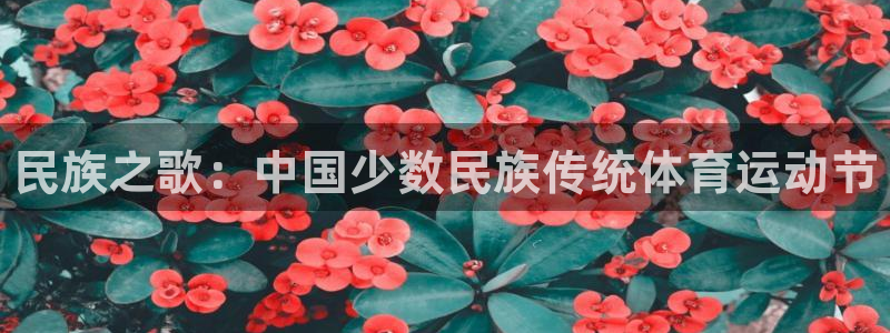 MK体育官方正版app娱乐网站：民族之歌：中国少数民