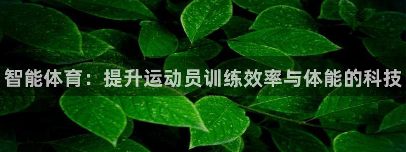 MK体育官网下载平台是正规平台吗知乎