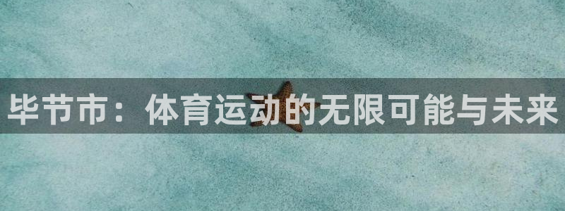 MK体育官方正版app代理：毕节市：体育运动的无限可
