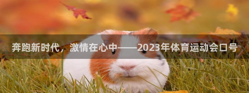 MK体育官网下载平台是正规平台吗安全吗：奔跑新时代，