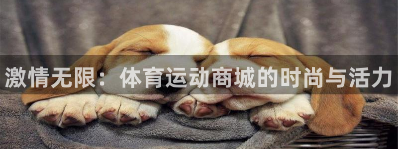 MK体育官方正版app集团官网首页网址：激情无限：体育运动商