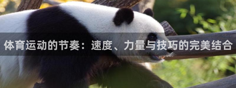 MK体育官网下载平台是正规平台吗知乎：体育运动的节奏