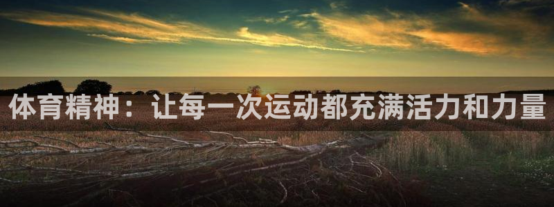 MK体育官网下载招商电话是多少：体育精神：让每一次运动都充满