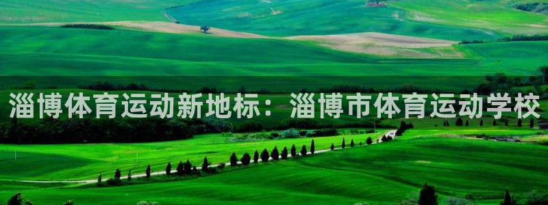MK体育官方正版app集团官网网址：淄博体育运动新地