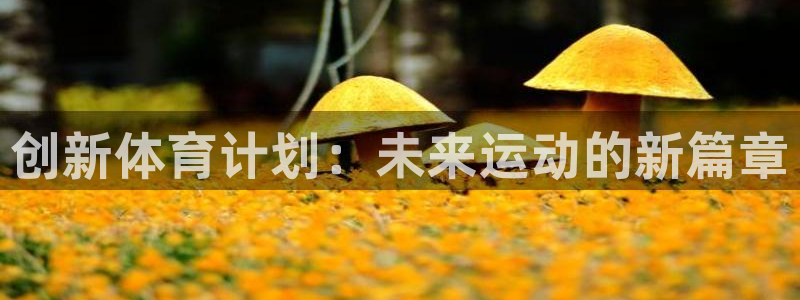 MK体育官网下载平台APP：创新体育计划：未来运动的新篇章