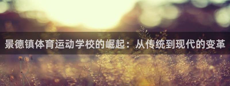 MK体育官方正版app开户