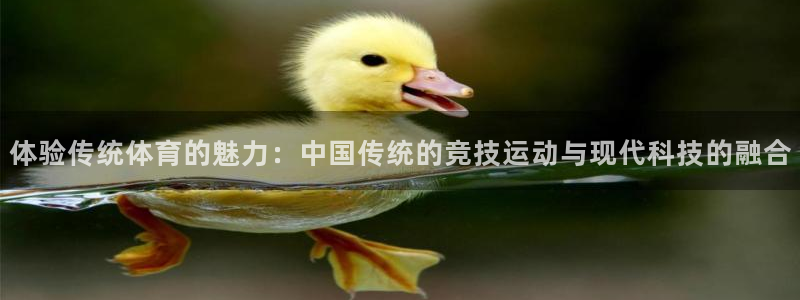 MK体育官网下载官方客服电话：体验传统体育的魅力：中国传统的