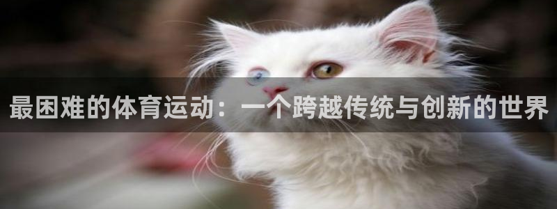 MK体育官网下载是干嘛的公司：最困难的体育运动：一个跨越传统