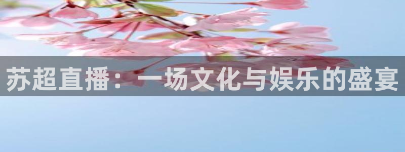 火凤斗球直播体育：苏超直播：一场文化与娱乐的盛宴
