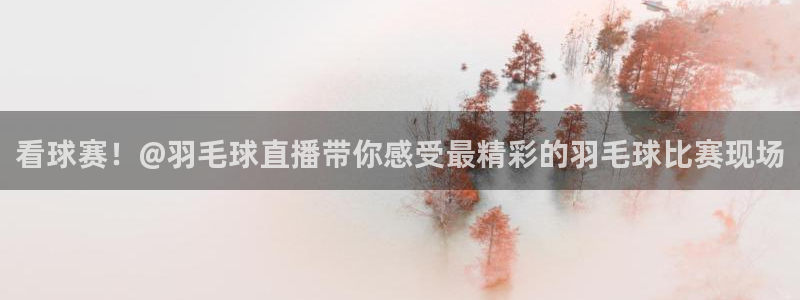 火凤直播nba：看球赛！@羽毛球直播带你感受最精彩的羽毛球比赛现场
