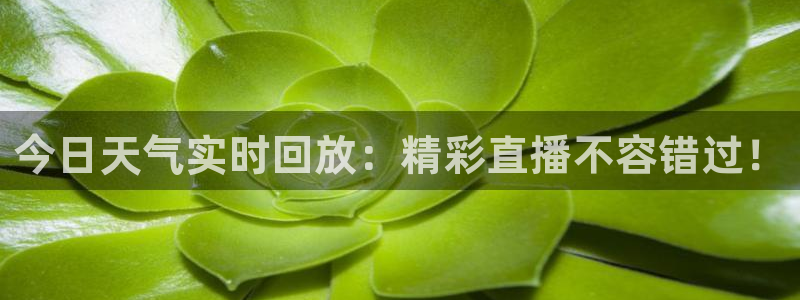 火凤足球直播：今日天气实时回放：精彩直播不容错过！