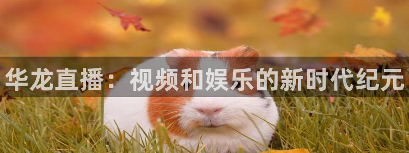 火凤直播体育足球：华龙直播：视频和娱乐的新时代纪元