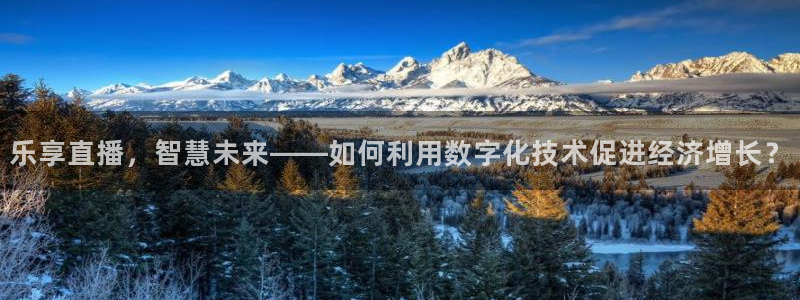 火凤直播体育：乐享直播，智慧未来——如何利用数字化技术促进经济增长？