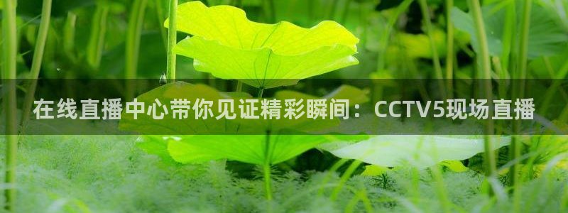 nba火凤直播：在线直播中心带你见证精彩瞬间：CCTV5现场直播