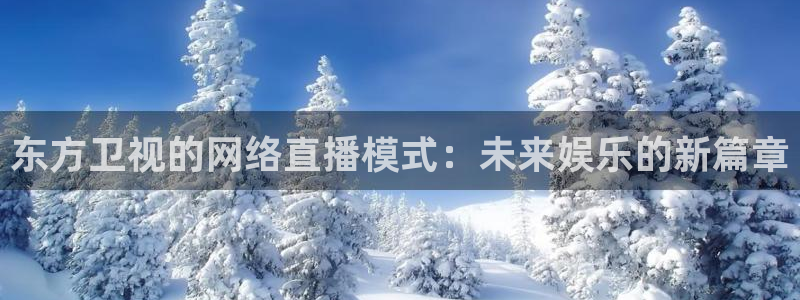 火凤体育nba直播：东方卫视的网络直播模式：未来娱乐的新篇章