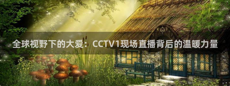 火凤直播体育免费直播：全球视野下的大爱：CCTV1现场直播背后的温暖力量
