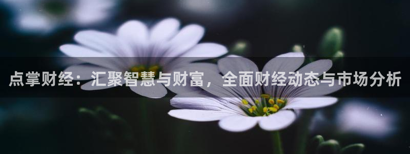 火凤直播体育足球：点掌财经：汇聚智慧与财富，全面财经动态与市场分析